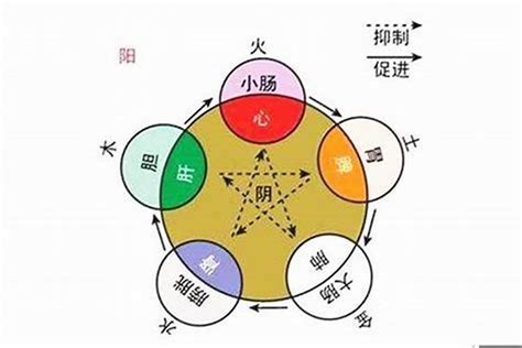 明的五行|明的五行属性是什么